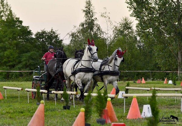 20663880_726507240883828_1957433197138831105_n