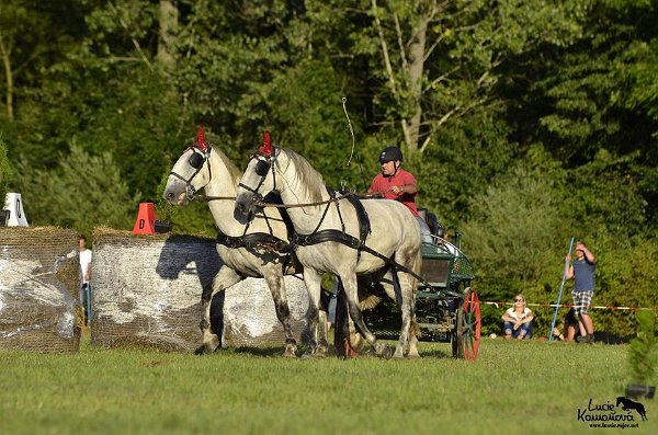 20664449_726507180883834_2764951153970062055_n