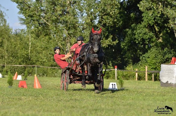 20727857_726507174217168_7801366612235631894_n