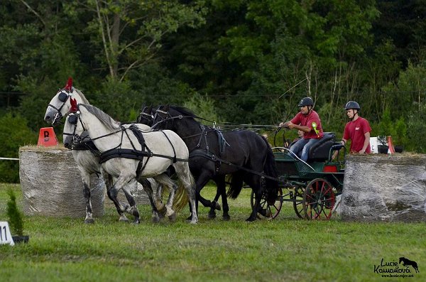 20767734_726507230883829_5560415179175777937_n