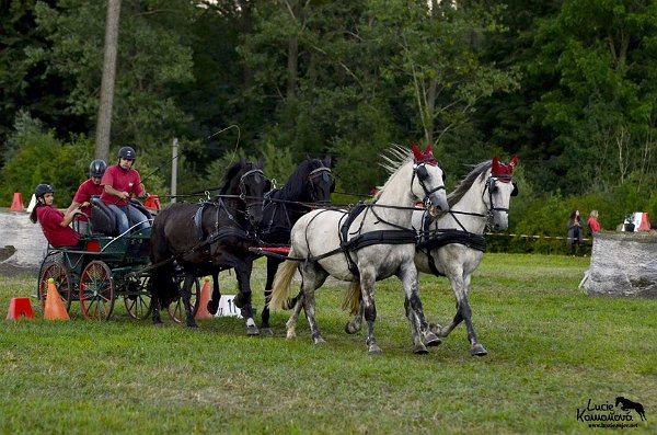 20767772_726514284216457_1534172951781116017_n