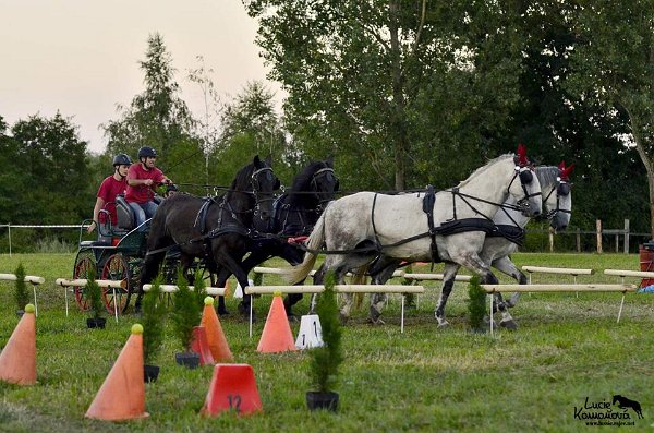 20767874_726507290883823_6791409251034463981_n