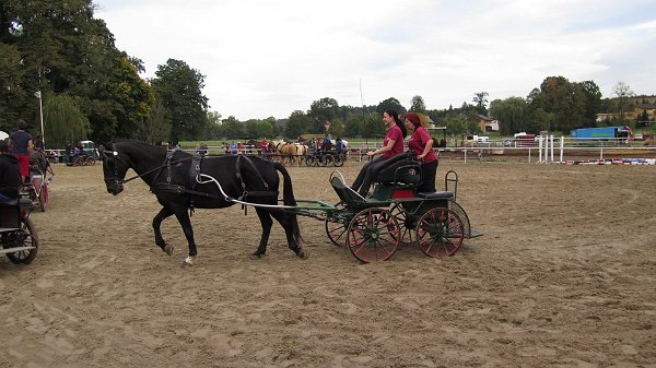 11215770_457119874489234_3365375082913722859_n