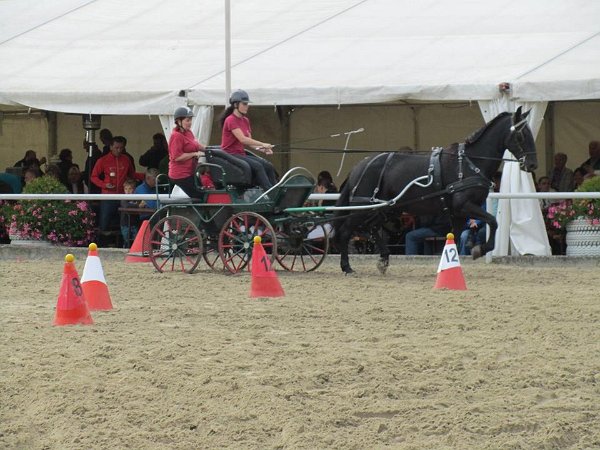 11218169_457119854489236_1218977568809531880_n