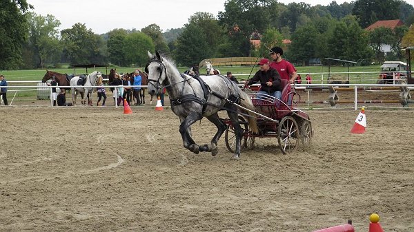 12072804_457119647822590_5225695921931279597_n