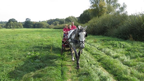 12079220_457119581155930_6931254258935949918_n