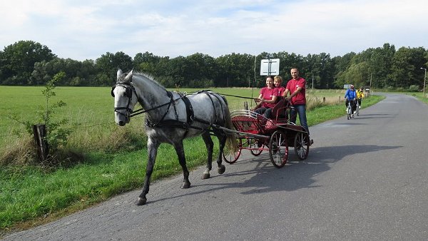 12088036_457119614489260_2399740587948640395_n