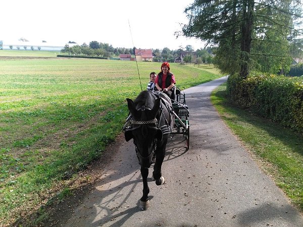 12088065_457120531155835_2900474696887779614_n