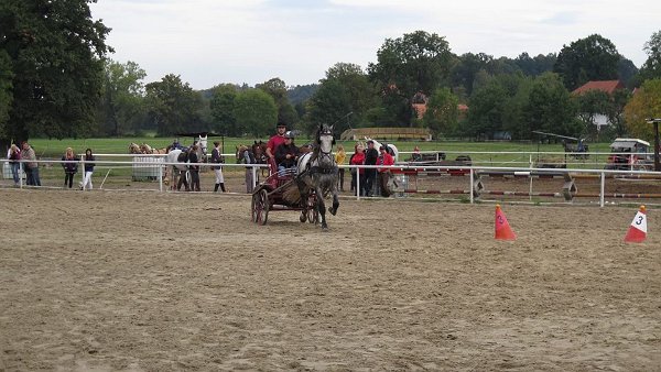 12108294_457119691155919_4126027691209191641_n