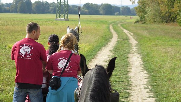 12118747_457119537822601_7468389799332311494_n