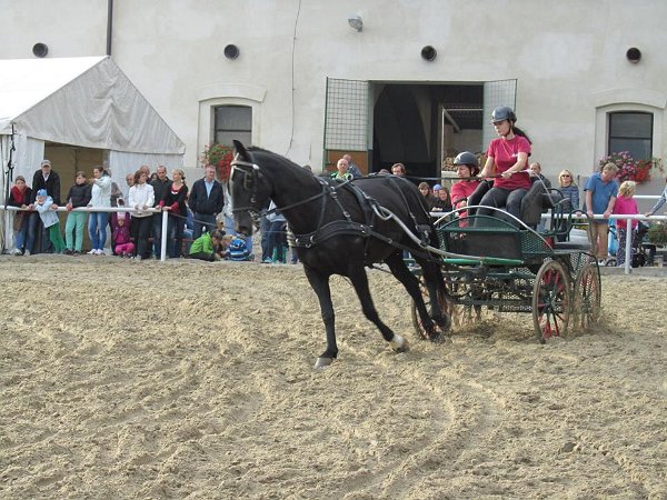 12140582_457119811155907_9049255802388304286_n