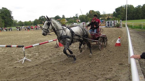 12143135_457119671155921_5668871111783489390_n