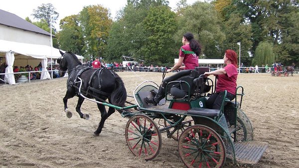 12144954_457119867822568_2820832165716439933_n