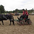 vozatajske-hobby-zavody-jesenik-nad-odrou-3-10-2015