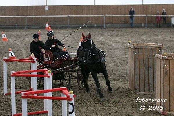 10484159_504901426377745_4794780981070666039_n