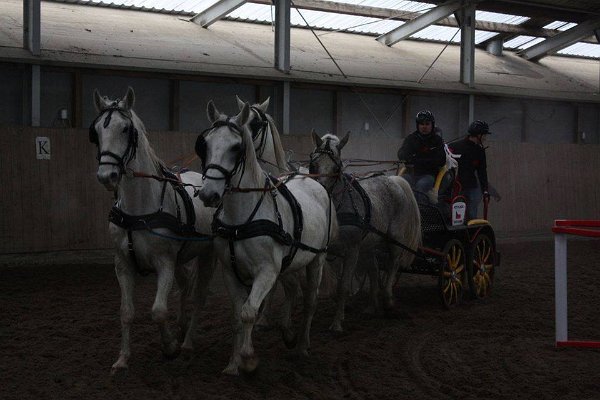 1176_504901363044418_8651043582307186381_n