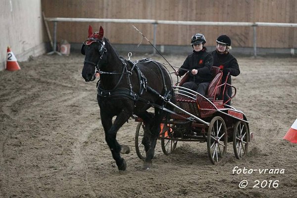 12821342_504901403044414_384812355685865069_n