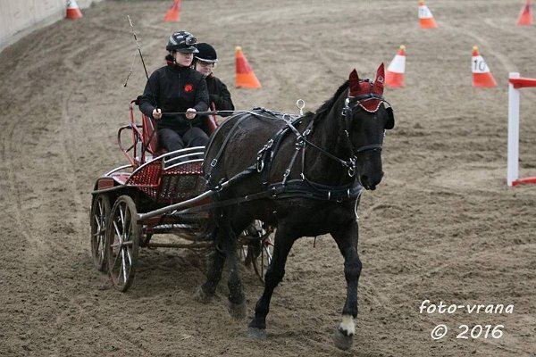 944927_504901383044416_6461605753513232399_n