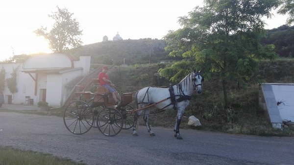 19366398_703818609819358_7610022293307484843_n