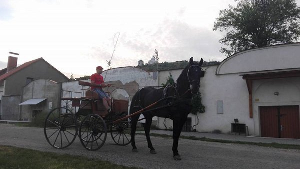 19397149_703818433152709_8306325957563525712_n