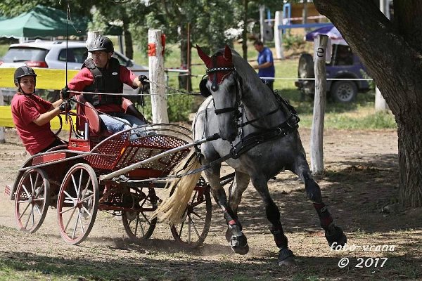 19429706_706343112900241_9115944723513528524_n