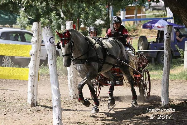 19429958_706343162900236_6524570677948856659_n