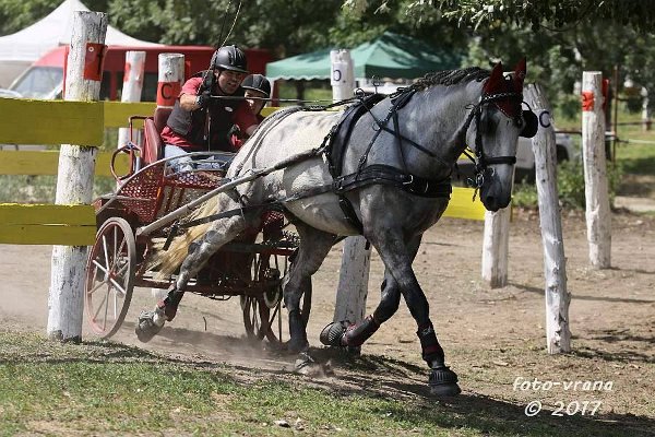 19554278_706343116233574_4173744921667893908_n