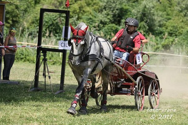 19601202_706343166233569_7440233841867623612_n