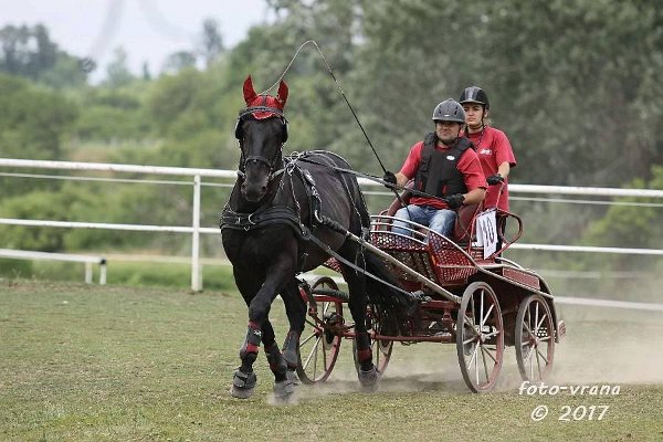 19601397_706343109566908_3371936900370483636_n