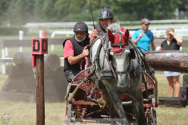 13606982_549743428560211_4322474635914934913_n