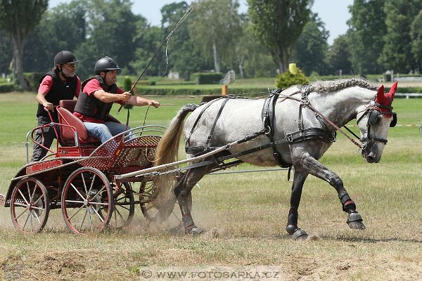 13627052_549743338560220_642478541425670232_n