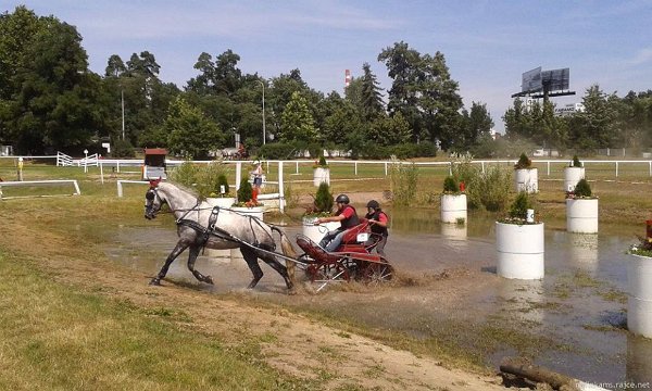 13627135_549743088560245_2933166159629045891_n