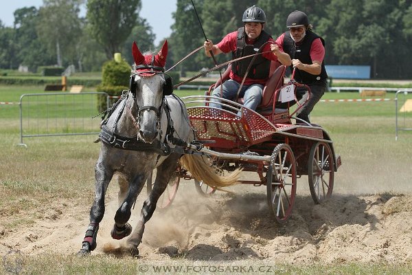 13645322_549743368560217_7802743573618936745_n