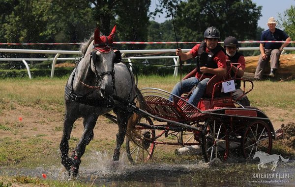 13654226_549743468560207_1882336200897538035_n