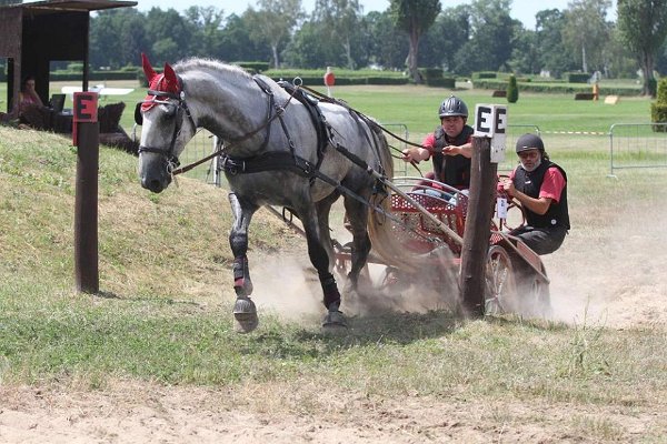 13686632_549743165226904_567793472046974432_n