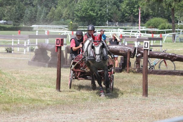 13690835_549743145226906_7676666923814385700_n