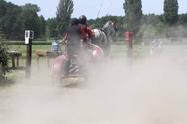 13700168_549743238560230_8402132781718914484_n