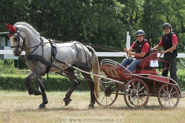 13700192_549743358560218_8855994338907769992_n