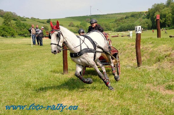 18839215_695842580616961_1655441389558333530_n