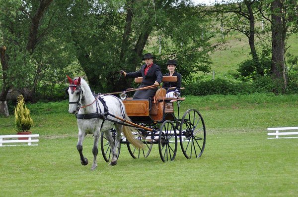 18839287_695842670616952_2826325130163971762_n