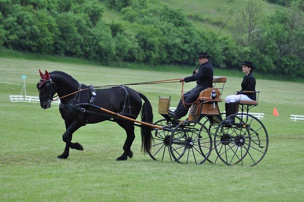 18882040_695842617283624_6678264710275864504_n