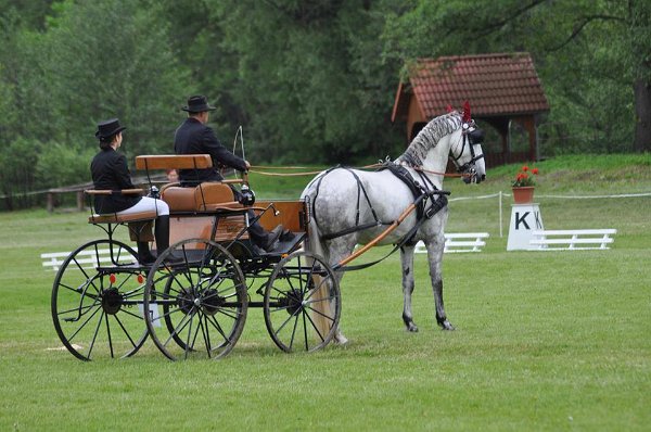 18893429_695842560616963_6869605231854237451_n