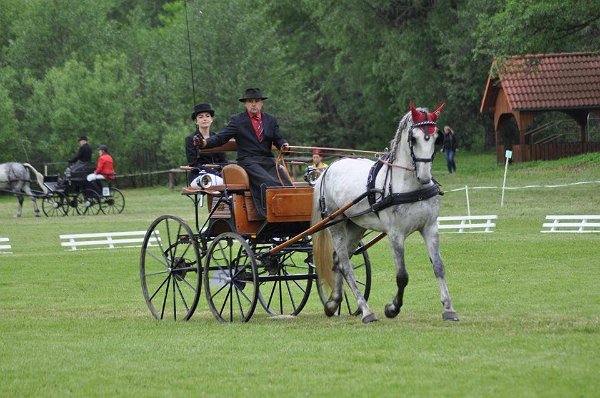 18922225_695842563950296_6451139580363720798_n