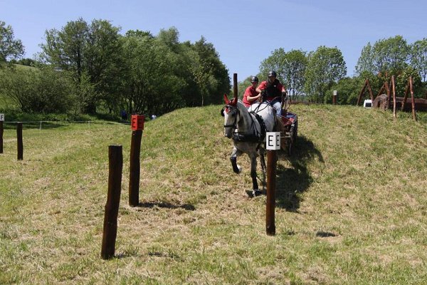 13232971_531797663688121_1362003401174240655_n