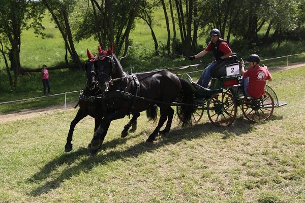 13244845_531797660354788_7198261497864936912_n