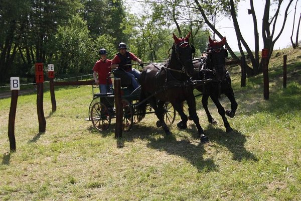 13307260_531797690354785_6097835454595612694_n