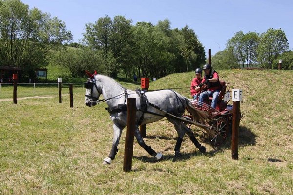 13310527_531797657021455_4361574687107842918_n