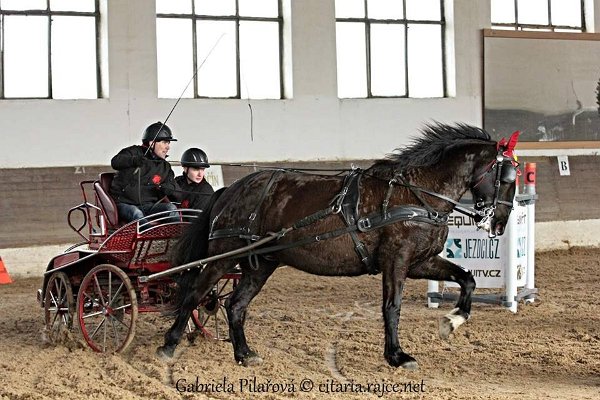 11896249_445858752282013_5729557846301291541_n