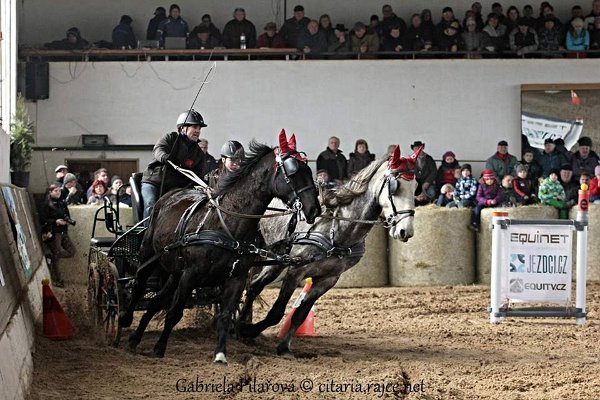 11903707_445858785615343_4462908378470133691_n