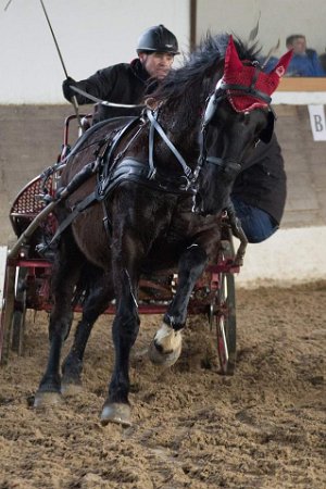 11903828_445858808948674_1127686531069161832_n